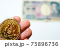 ビットコインと日本円 73896736