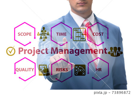 Concept of project management with business people 73896872