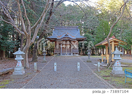 日枝神社（鶴ヶ島） 73897104