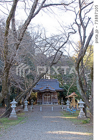 日枝神社（鶴ヶ島） 73897105