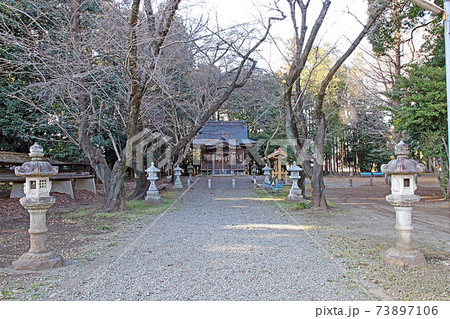 日枝神社（鶴ヶ島） 73897106