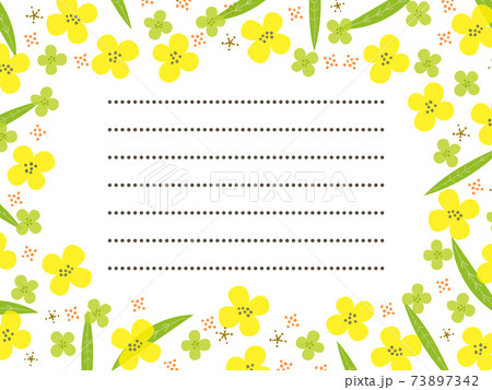 黄色い菜の花のお手紙フレームのイラスト素材