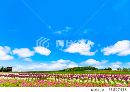 北海道上富良野町 フラワーランドかみふらの 73897458