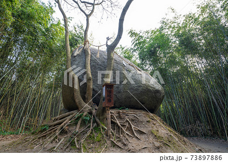 神在神社・神石_福岡県糸島市 神在神社・神石_福岡県糸島市 73897886