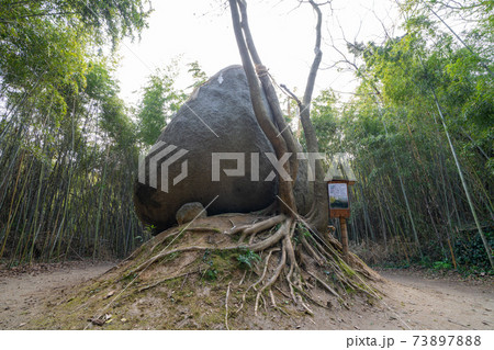 神在神社・神石_福岡県糸島市 神在神社・神石_福岡県糸島市 73897888
