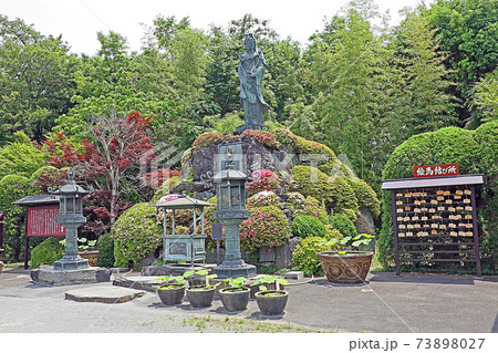 新座観音(新座) 新座観音(新座) 73898027