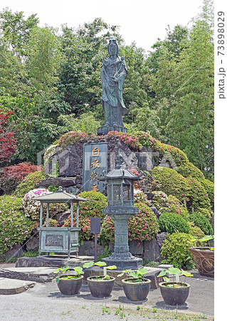新座観音(新座) 新座観音(新座) 73898029