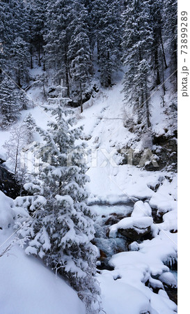 A clear mountain river runs through a snowy gorge A clear mountain river runs through a snowy gorge 73899289
