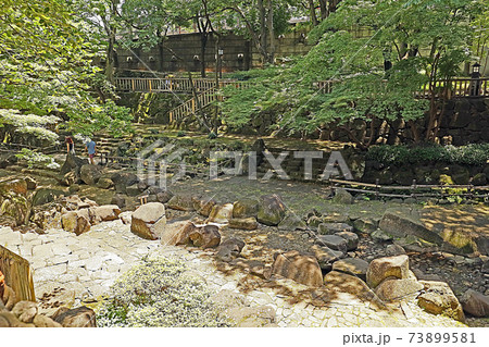 音無親水公園(北) 音無親水公園(北) 73899581