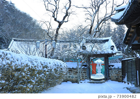 冬 雪景色 樹木 73900482
