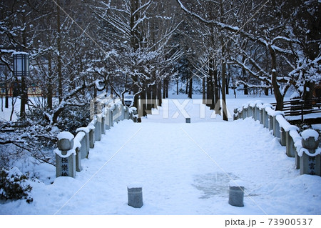 冬 雪景色 樹木 73900537