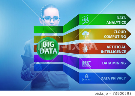 Big data concept with businesswoman pressing virtual button 73900593