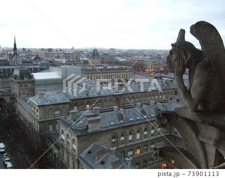 フランス　パリ　ノートルダム大聖堂から望む街並み 73901113