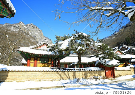 冬 雪景色 積雪 73901326