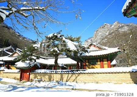 冬 雪景色 積雪 73901328