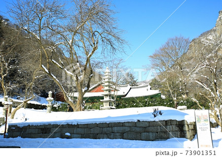 冬 雪景色 積雪 73901351