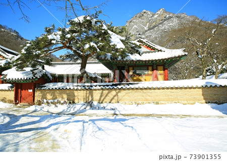 冬 雪景色 積雪 73901355