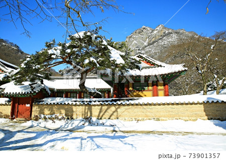 冬 雪景色 積雪 73901357