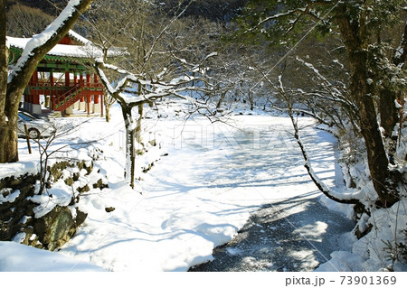 冬 雪景色 積雪 73901369