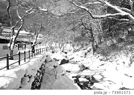 冬 雪景色 積雪 73901371