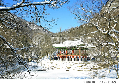 冬 雪景色 積雪 73901389