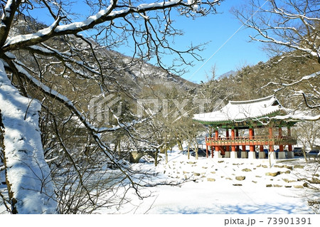 冬 雪景色 積雪 73901391