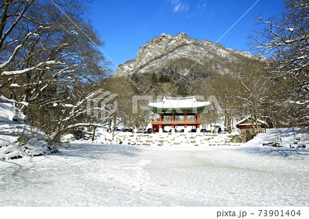 冬 雪景色 積雪 73901404