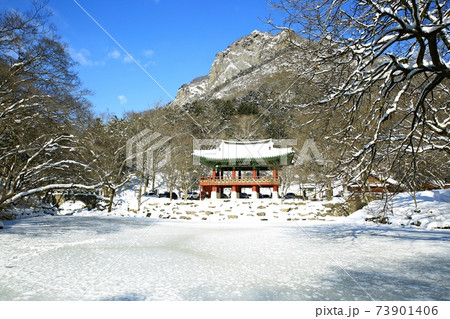 冬 雪景色 積雪 73901406