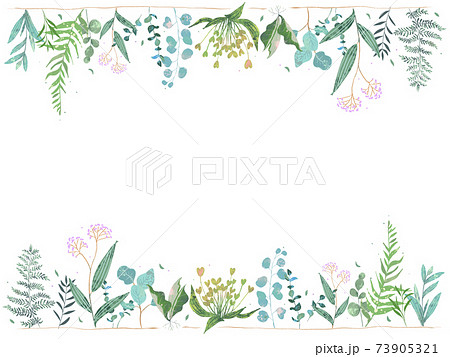 優しい色使いのオシャレな植物やお花の北欧風白バックフレームのイラストのイラスト素材