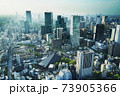 東京タワー展望台からの風景 73905366