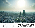 東京タワー展望台からの風景 73905367