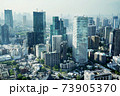 東京タワー展望台からの風景 73905370