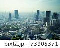東京タワー展望台からの風景 73905371