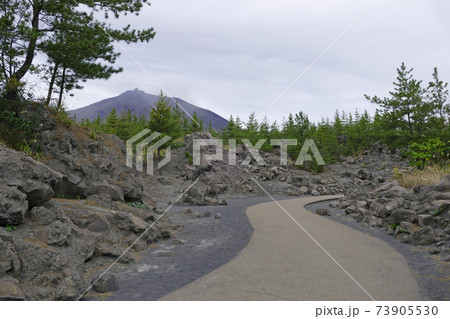 有村溶岩展望所の遊歩道 鹿児島県 有村溶岩展望所の遊歩道 鹿児島県 73905530