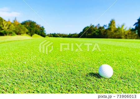 ゴルフ ボール golf ゴルフ ボール golf 73906013