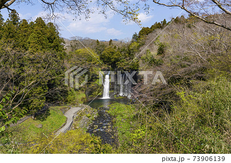 白糸の滝(静岡県) 白糸の滝(静岡県) 73906139