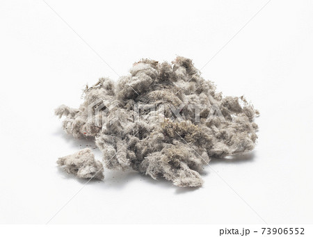 アスベスト 73906552