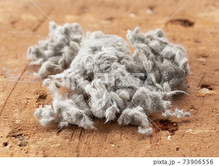 アスベスト 73906556