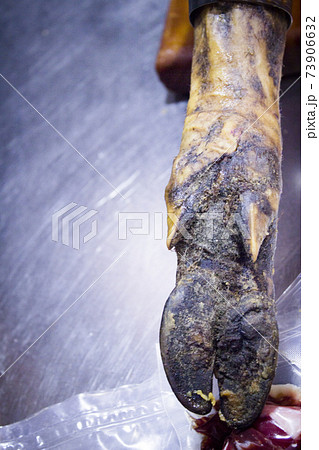 Spanish acornfed ham leg 73906632