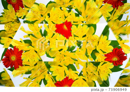 アルストロメリアとガーベラ・万華鏡 73906949