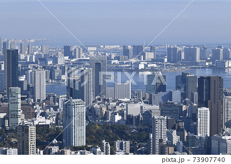 日本の東京都市景観　晴海フラッグなどを望む 73907740