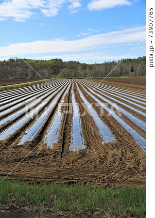 春の北海道の風景 73907765