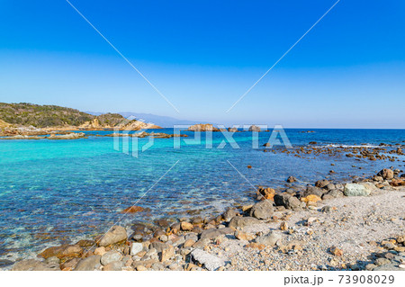 静岡県下田市 爪木崎の海岸 静岡県下田市 爪木崎の海岸 73908029