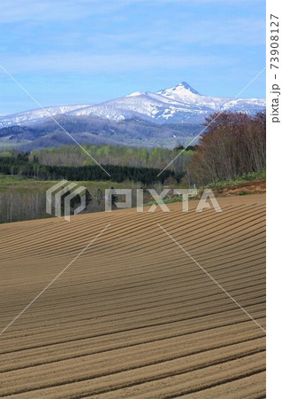 春の北海道 昆布岳 田園風景の写真素材