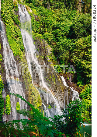 Cascade waterfall with clear water in a tropical jungle in Bali, Indonesia 73908224
