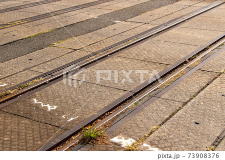 踏切部分の路面と線路。 踏切部分の路面と線路。 73908376