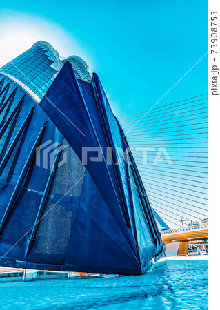 VALENCIA, SPAIN - SEPT 10: Covered plaza in which concerts and sporting events (L'Agora ) - City of Arts and Sciences. September 10, 2014 in Valencia, Spain. 73908753