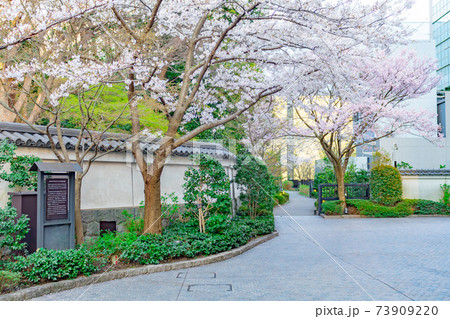 小石川後楽園の桜 小石川後楽園の桜 73909220