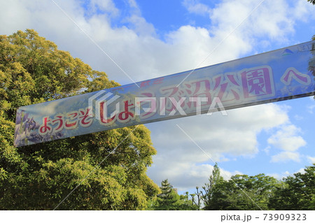 しょうぶ沼公園　東京都足立区谷中 73909323