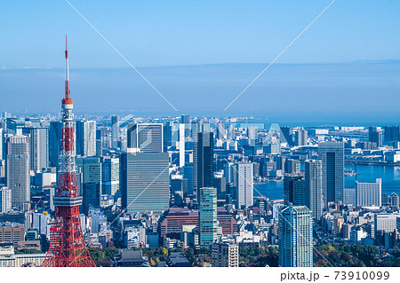 日本の東京都市景観 大都会・東京。東京タワーなどを望む 日本の東京都市景観 大都会・東京。東京タワーなどを望む 73910099